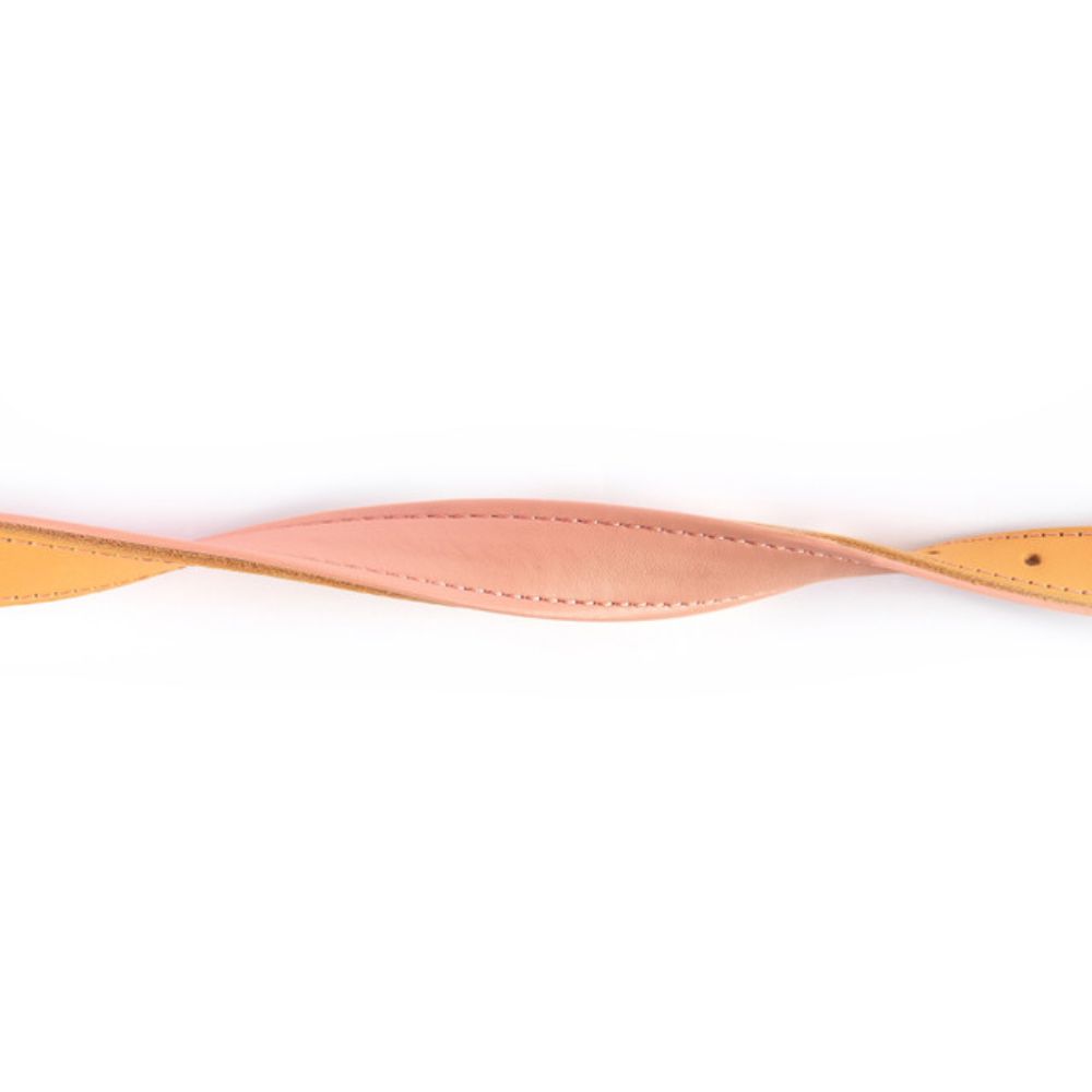oxford-dog-collar-blush