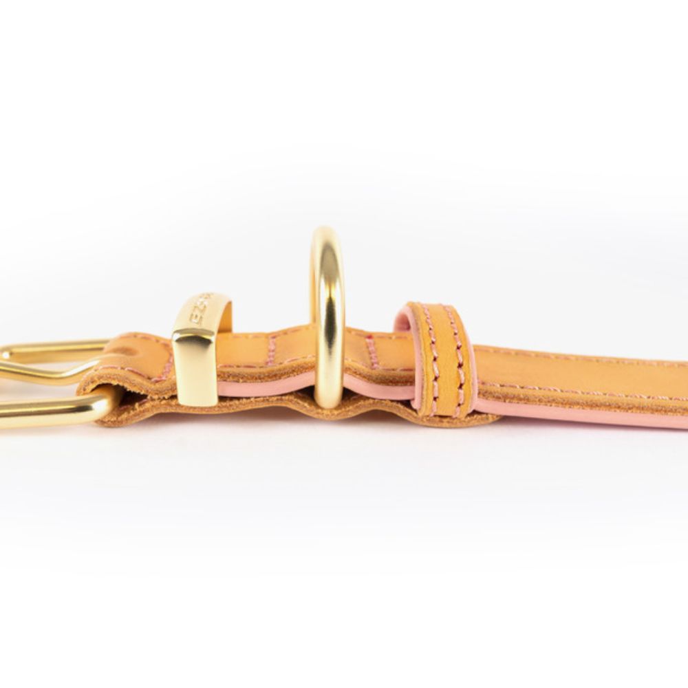 oxford-dog-collar-blush