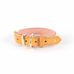 Oxford-Dog-Collar-Blush