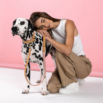 oxford-dog-collar-blush-dalmation