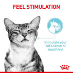 royal-canin-sensory-gravy