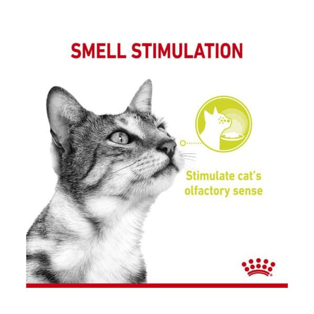royal-canin-senory-smell-gravy