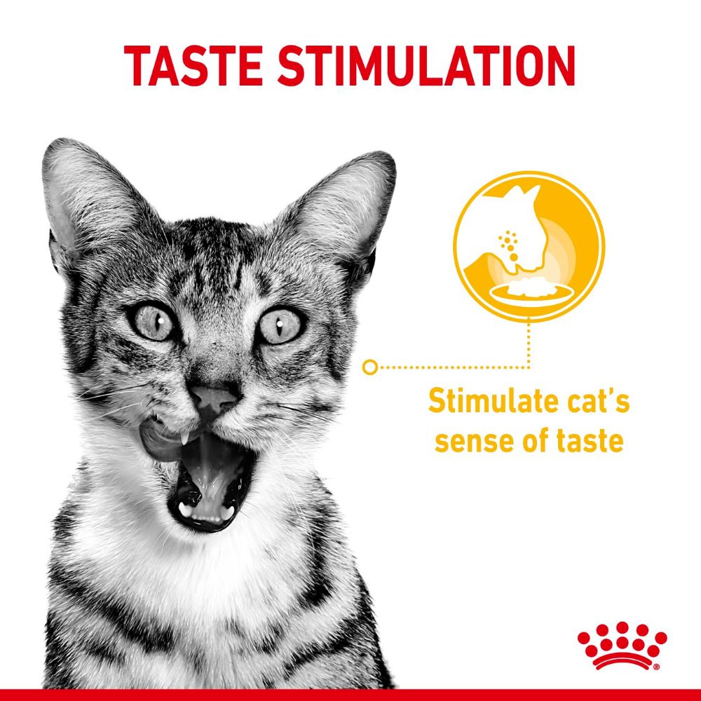 royal-canin-sensory-tatse-gravy