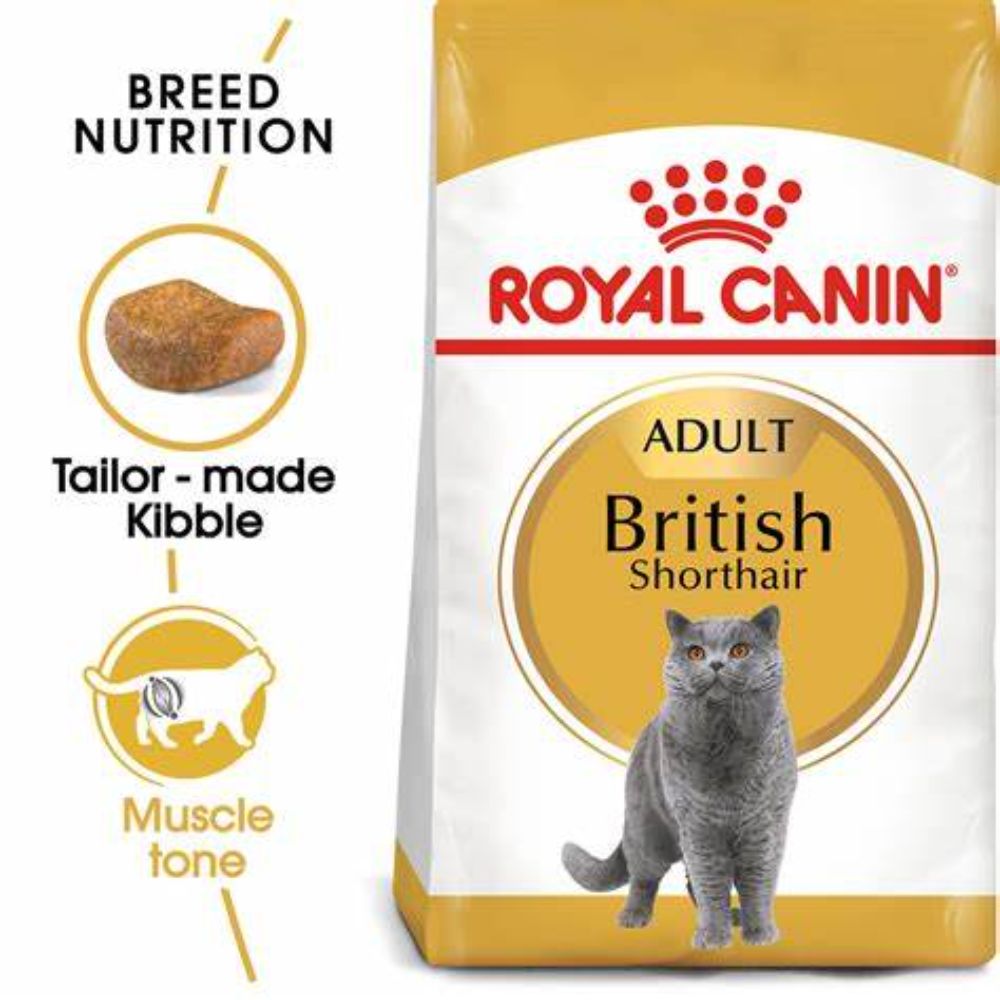 royal-canin-british-shorthair