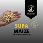 A hand holding a small pile of yellow maize kernels on a gray gradient background, with large text reading 'SUPA MAIZE' and a black badge for 'SUPA FEEDS' plus a 'GE Free' seal.