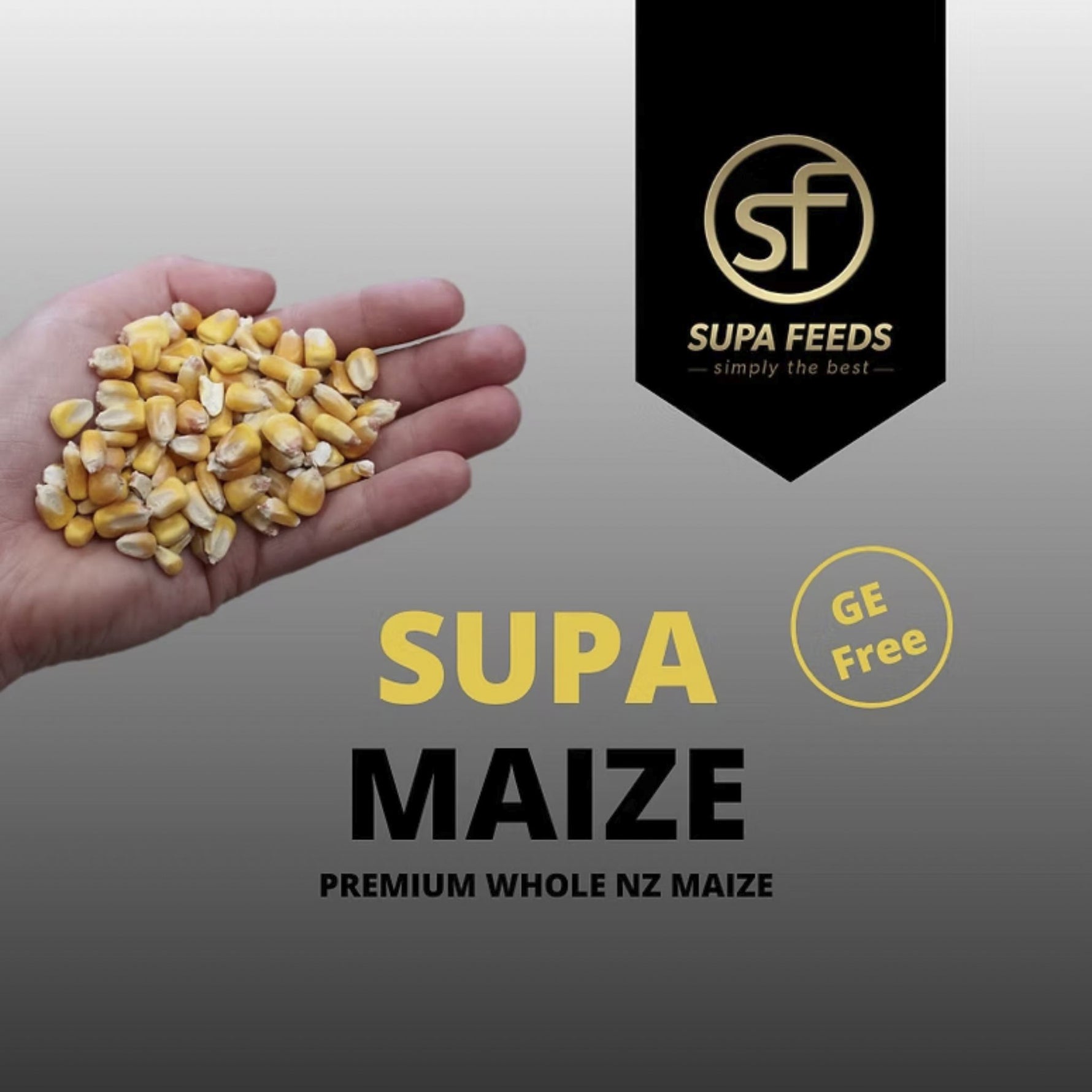 A hand holding a small pile of yellow maize kernels on a gray gradient background, with large text reading 'SUPA MAIZE' and a black badge for 'SUPA FEEDS' plus a 'GE Free' seal.