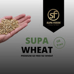 A hand holding a small pile of wheat grains on a gray gradient background, with large text reading 'SUPA WHEAT' and a black badge for 'SUPA FEEDS' that says 'simply the best' and 'GE Free'.