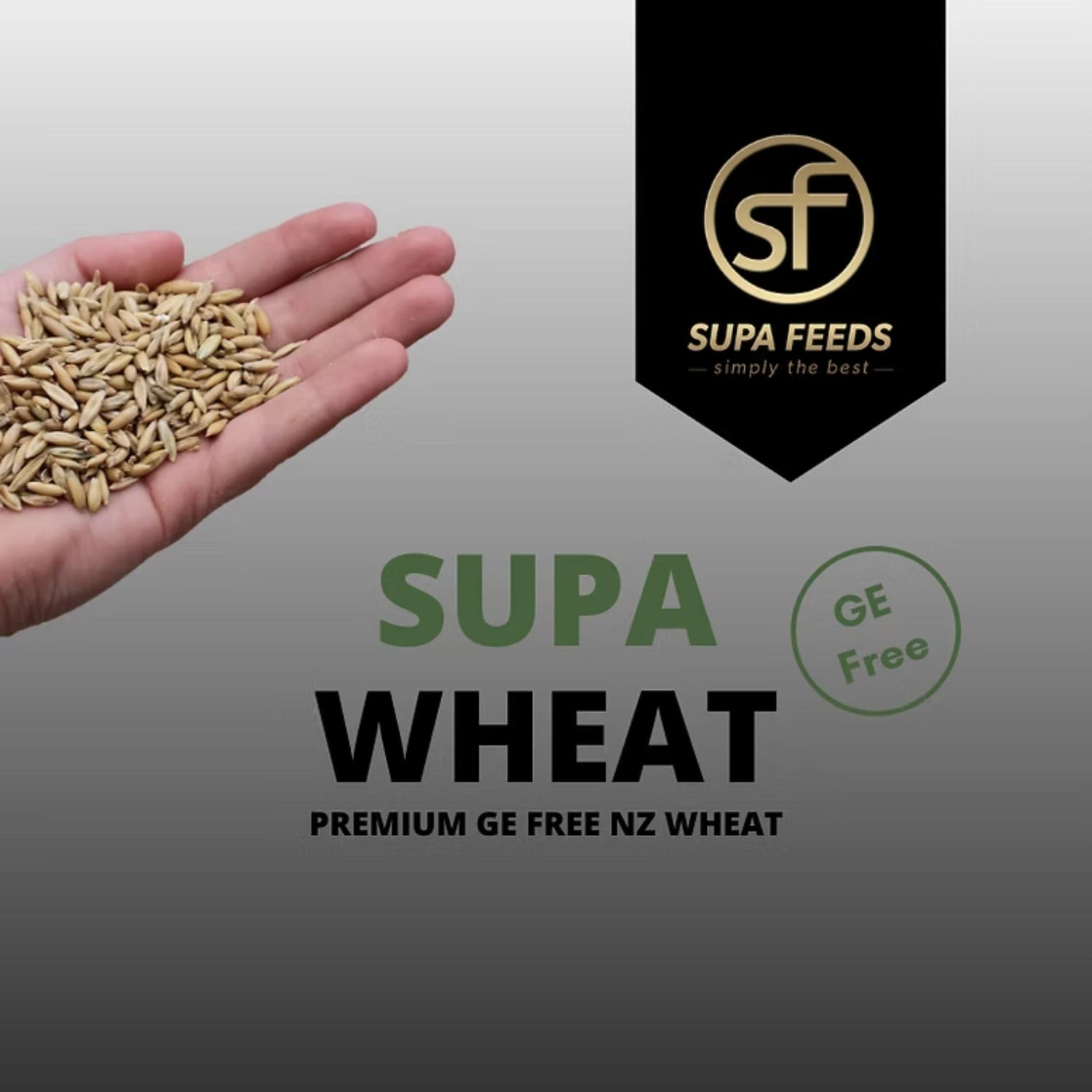 A hand holding a small pile of wheat grains on a gray gradient background, with large text reading 'SUPA WHEAT' and a black badge for 'SUPA FEEDS' that says 'simply the best' and 'GE Free'.