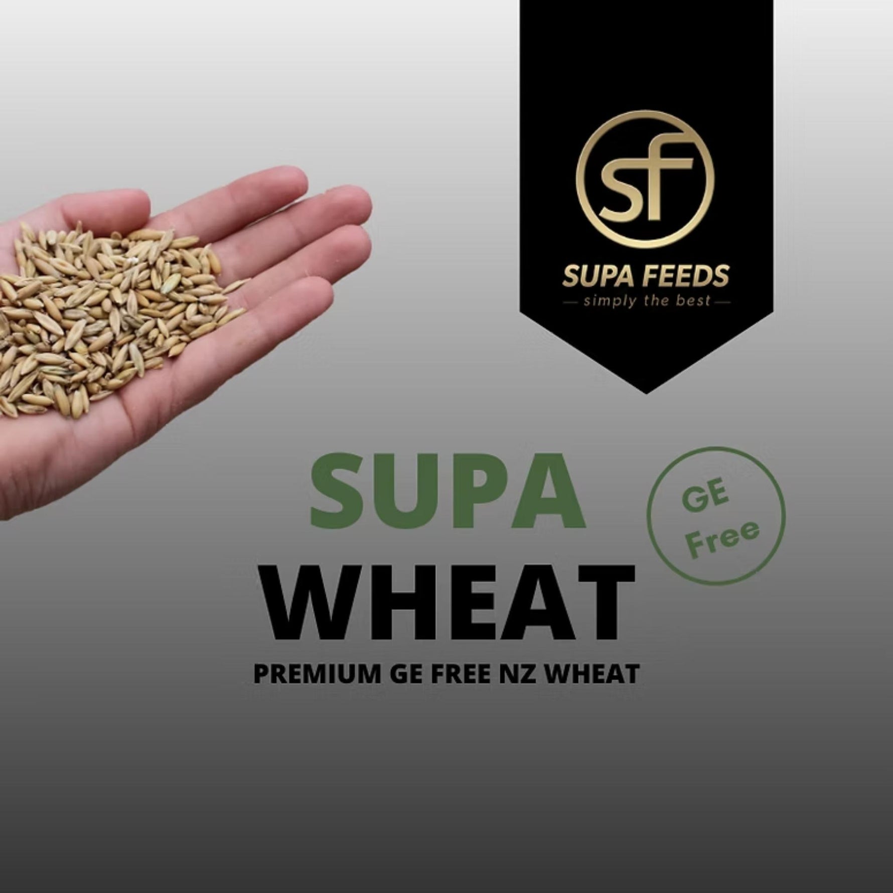 A hand holding a small pile of wheat grains on a gray gradient background, with large text reading 'SUPA WHEAT' and a black badge for 'SUPA FEEDS' that says 'simply the best' and 'GE Free'.