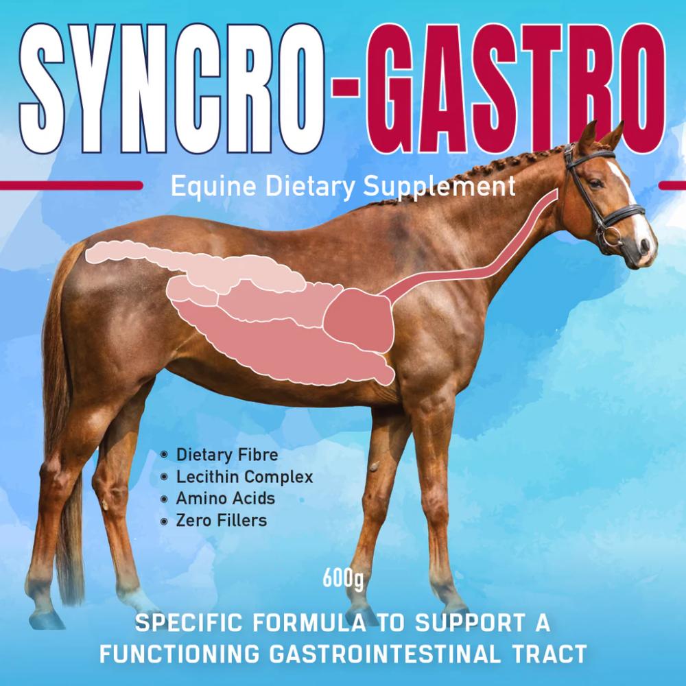 Syncroflex Syncro-Gastro