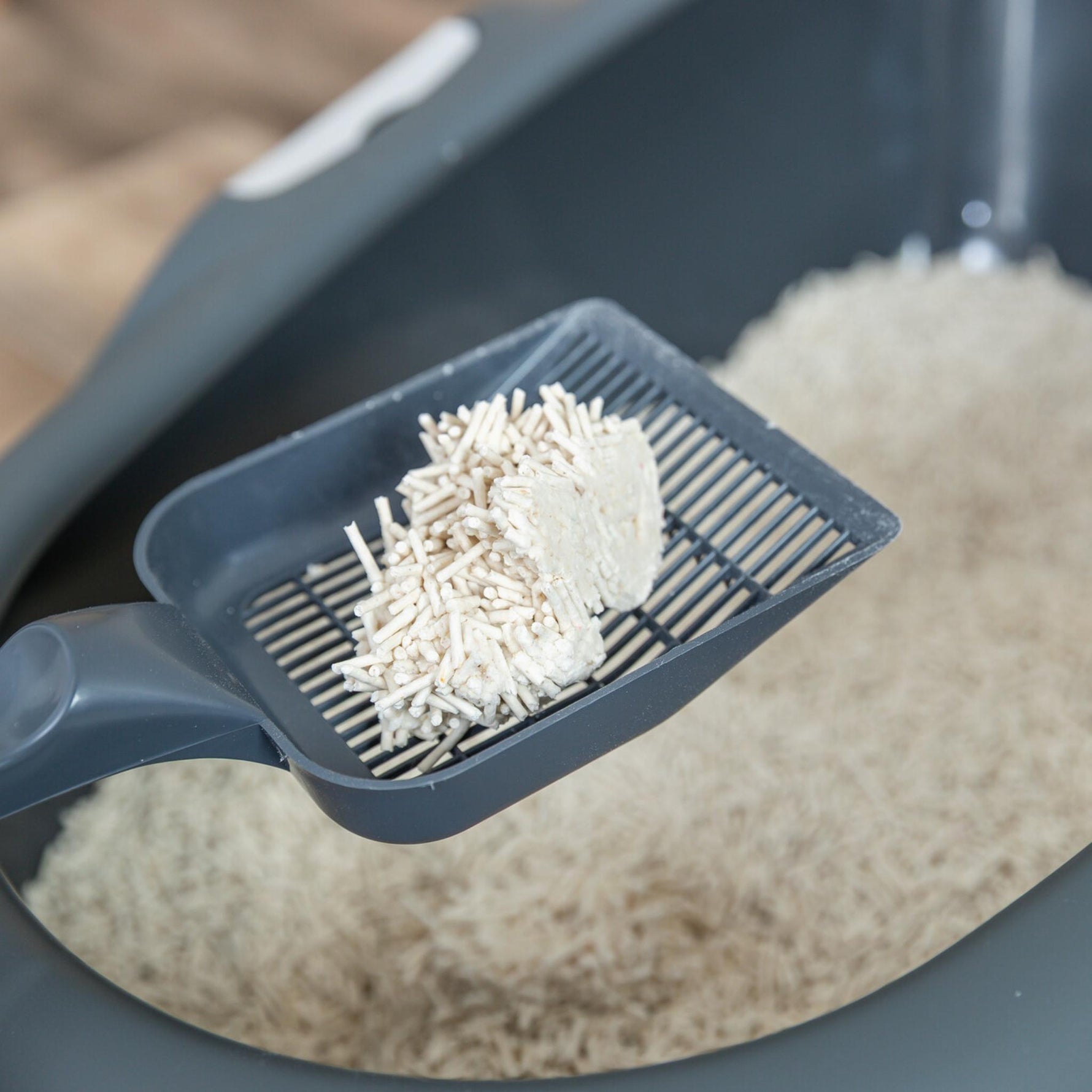 A close-up of a dark gray plastic litter scoop holding a clump of off-white cat litter, positioned over a gray litter box filled with the same litter.