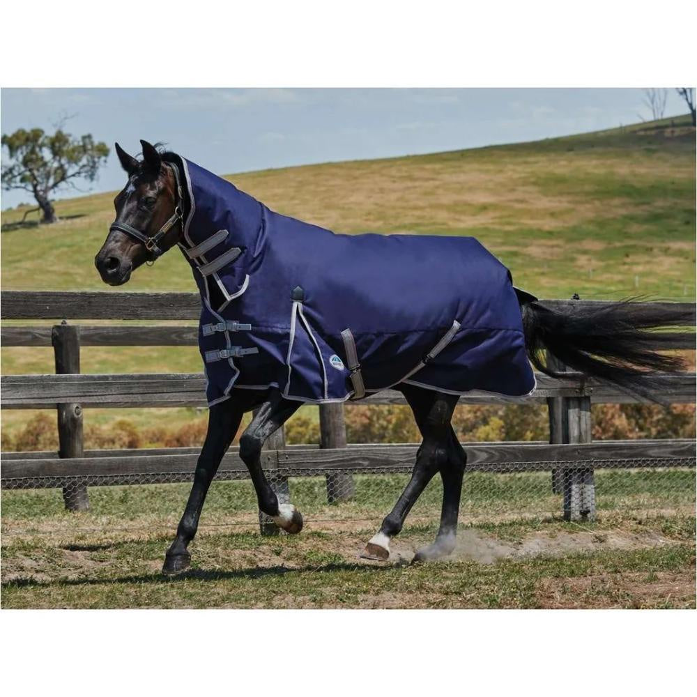 weatherbeeta-comfitec-essentials-cobo-50g-rug 