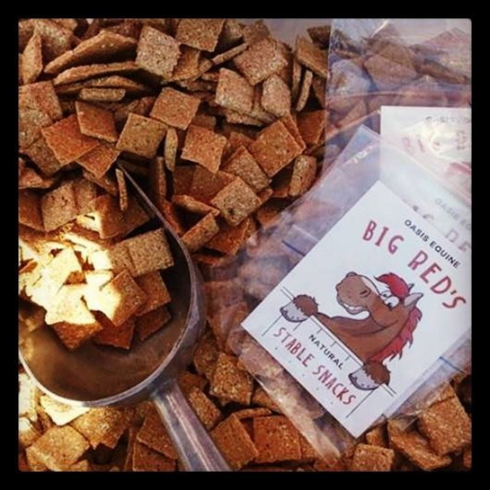 Big Red's Stable Snacks - Half Kilo Ziplock Economy Bag