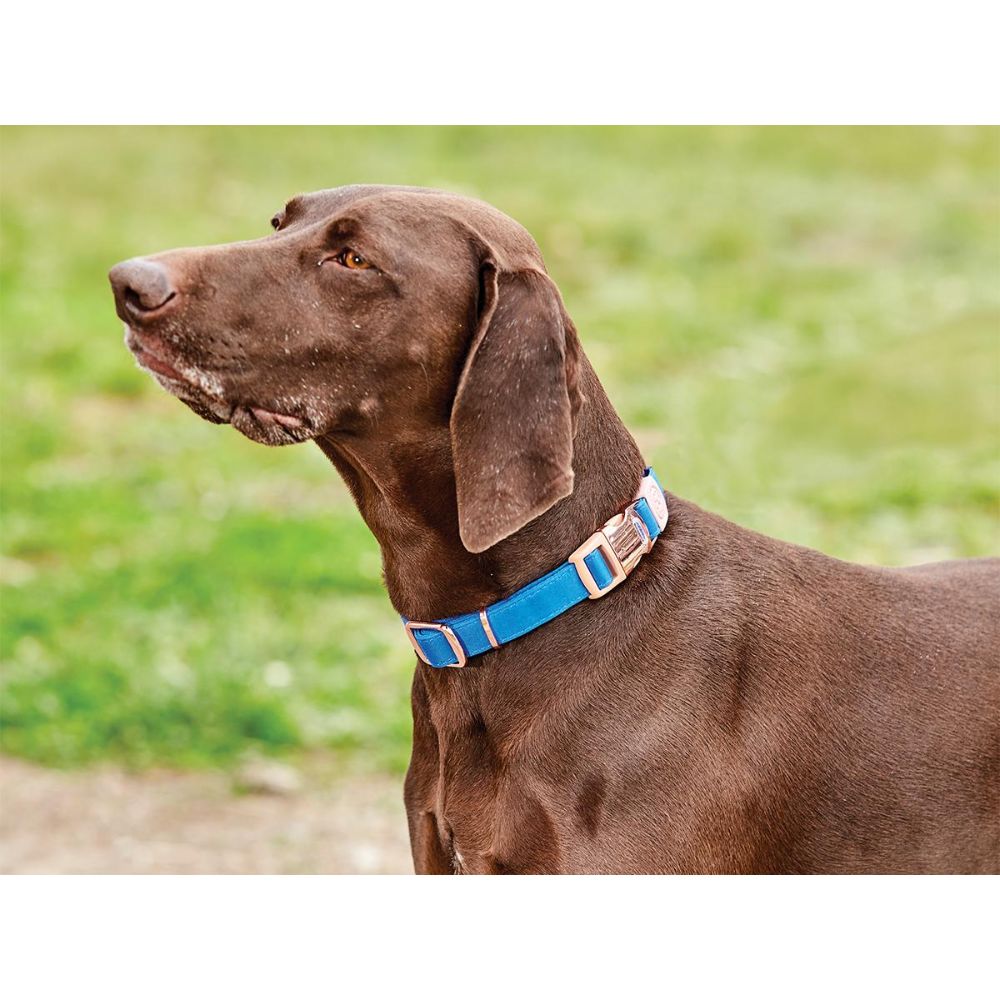 Weatherbeeta Elegance Dog Collar Black