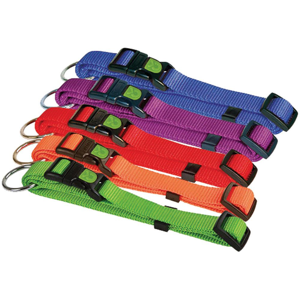 Dog-Lamb-Kid-Collar 
