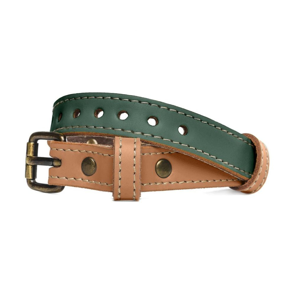 pawdel-alpha-collar-dog-collar-loden-green