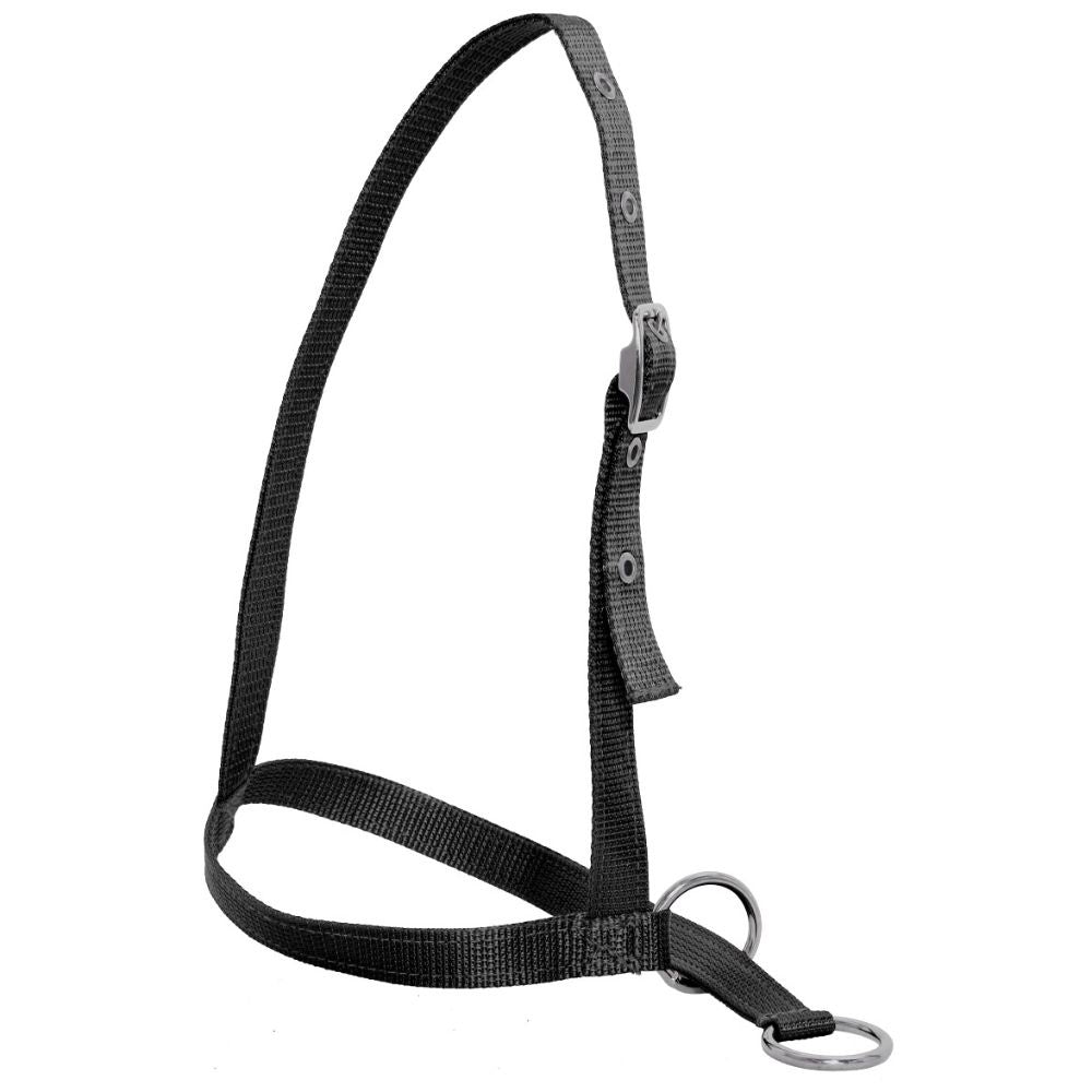 Nylon Web Calf Halter - Leading Style