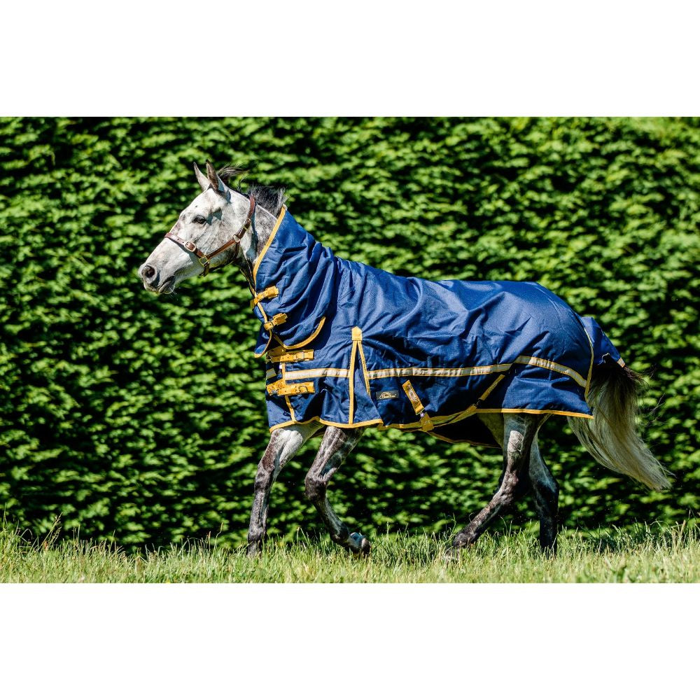 Cavallino Northampton Combo 1200D
