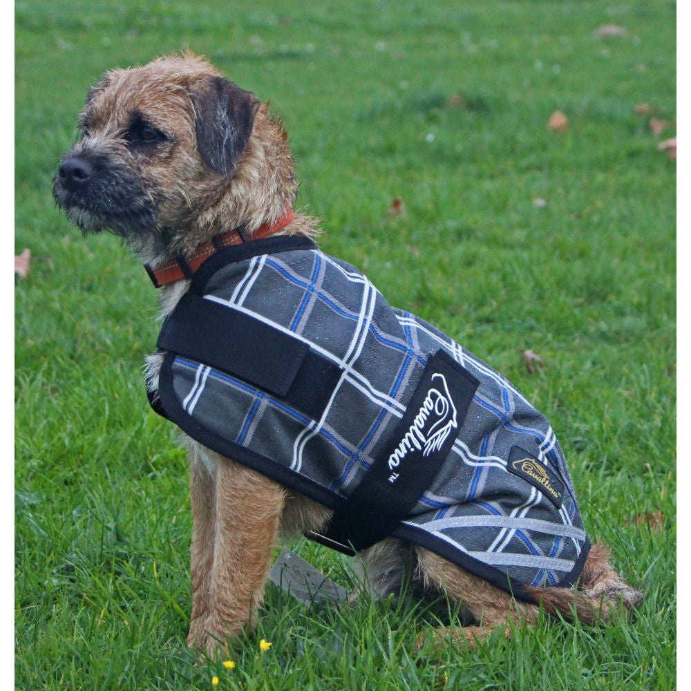 Cavallino-Badminton-Dog-Coat