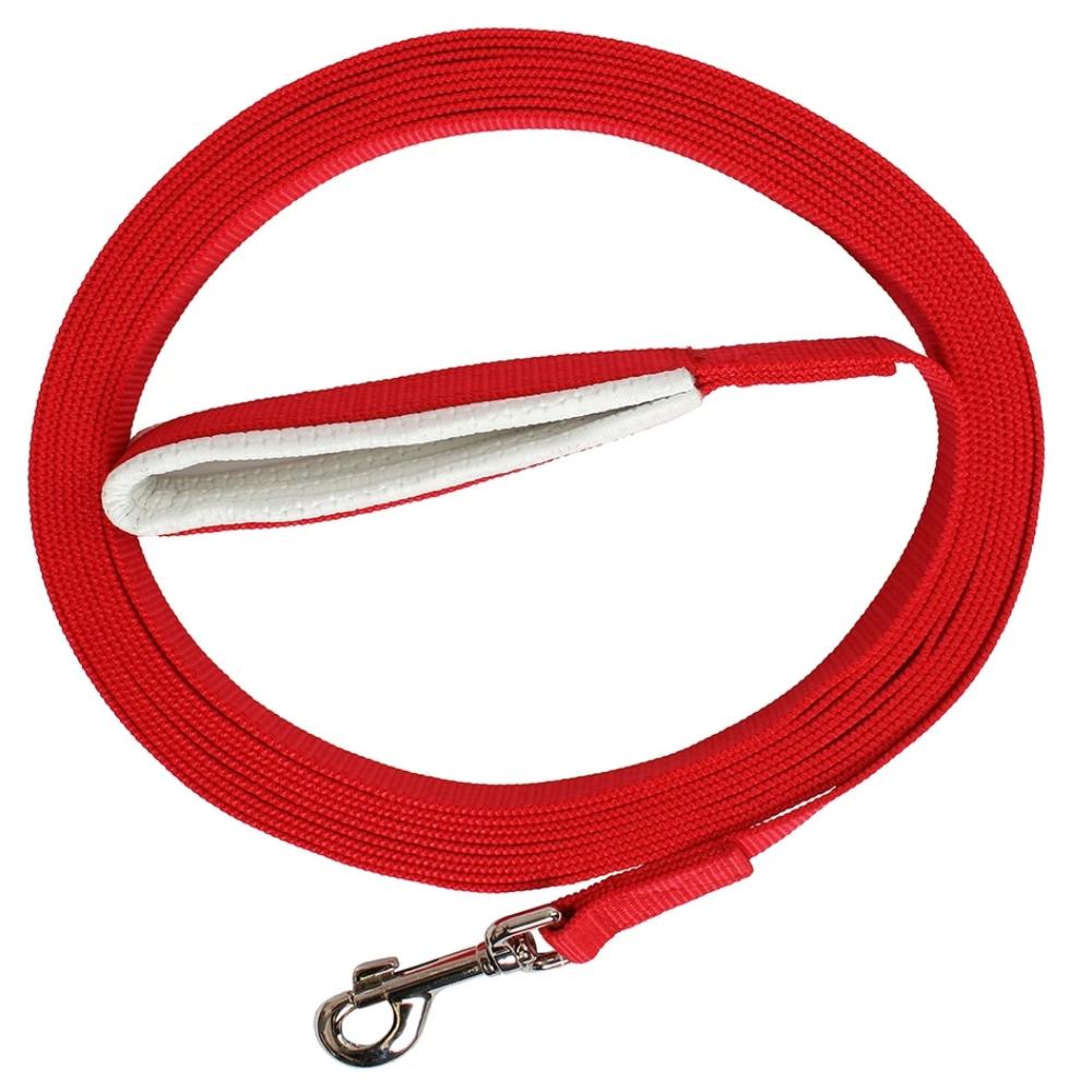 Blue-Tag-Web-Lunge-Lead-red