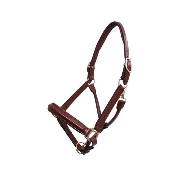 Platinum Leather Show Halter