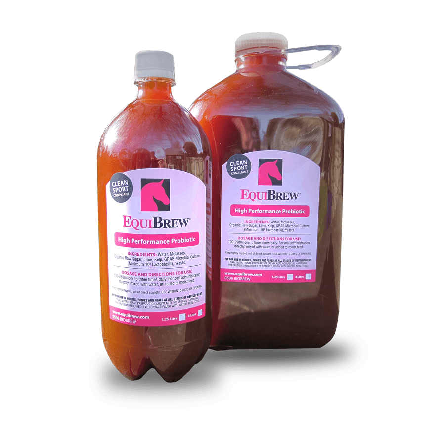 Equibrew