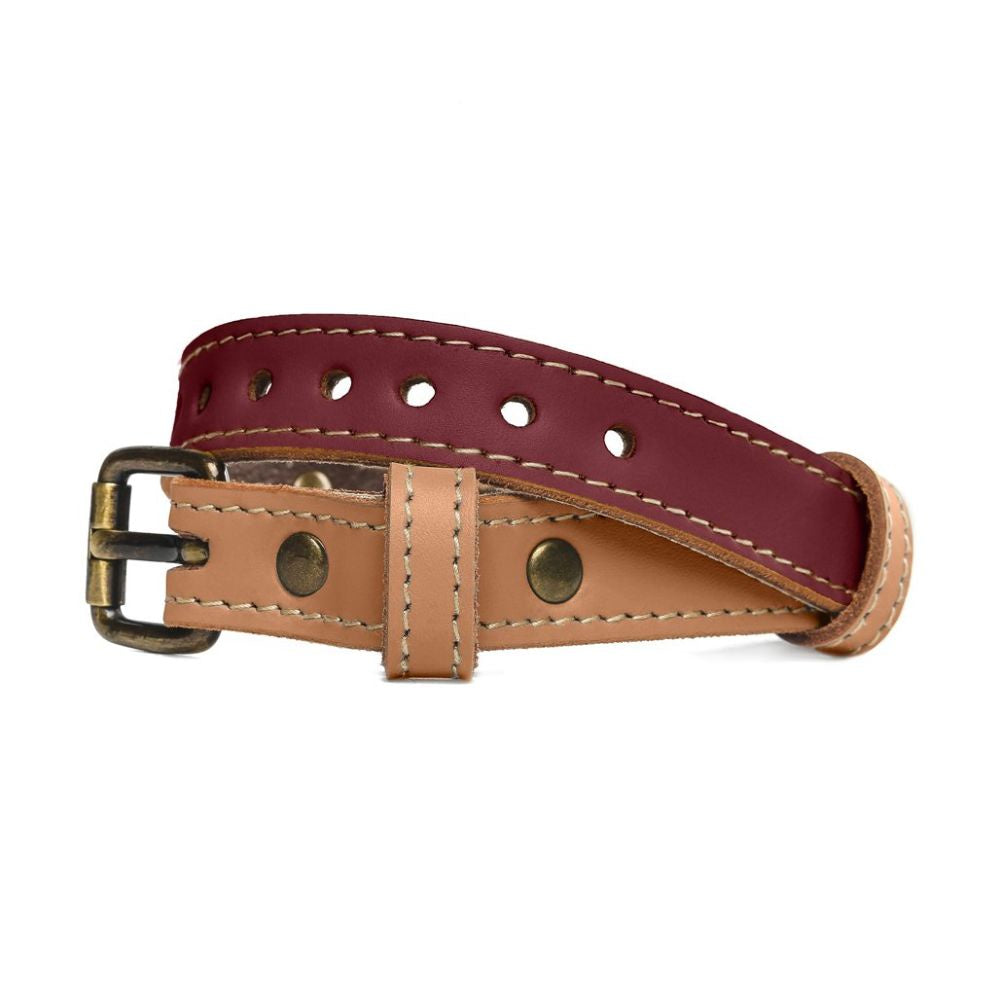 alpha-collar-merlot-leather-dog-collar