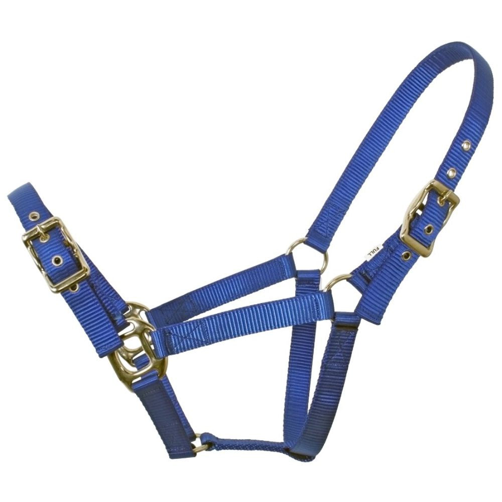 Flair-Heavy-Duty-Head-Collar-blue