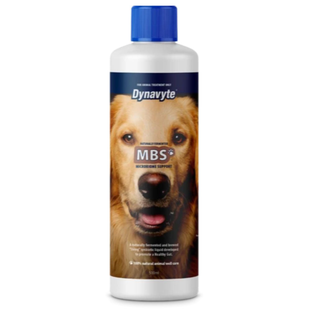 Dynavyte Microbiome Support for Dogs