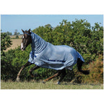 Bucas-Rug-Buzz-Off-Blue