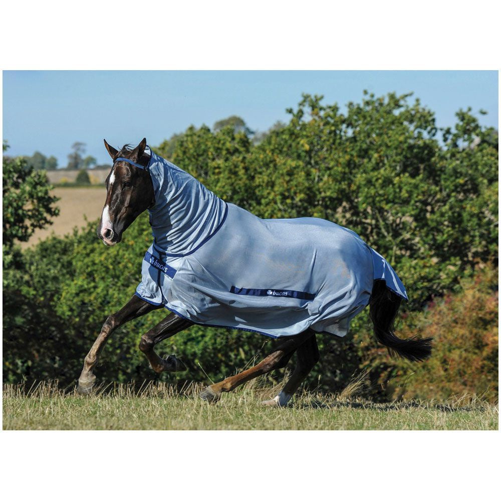 Bucas-Rug-Buzz-Off-Blue