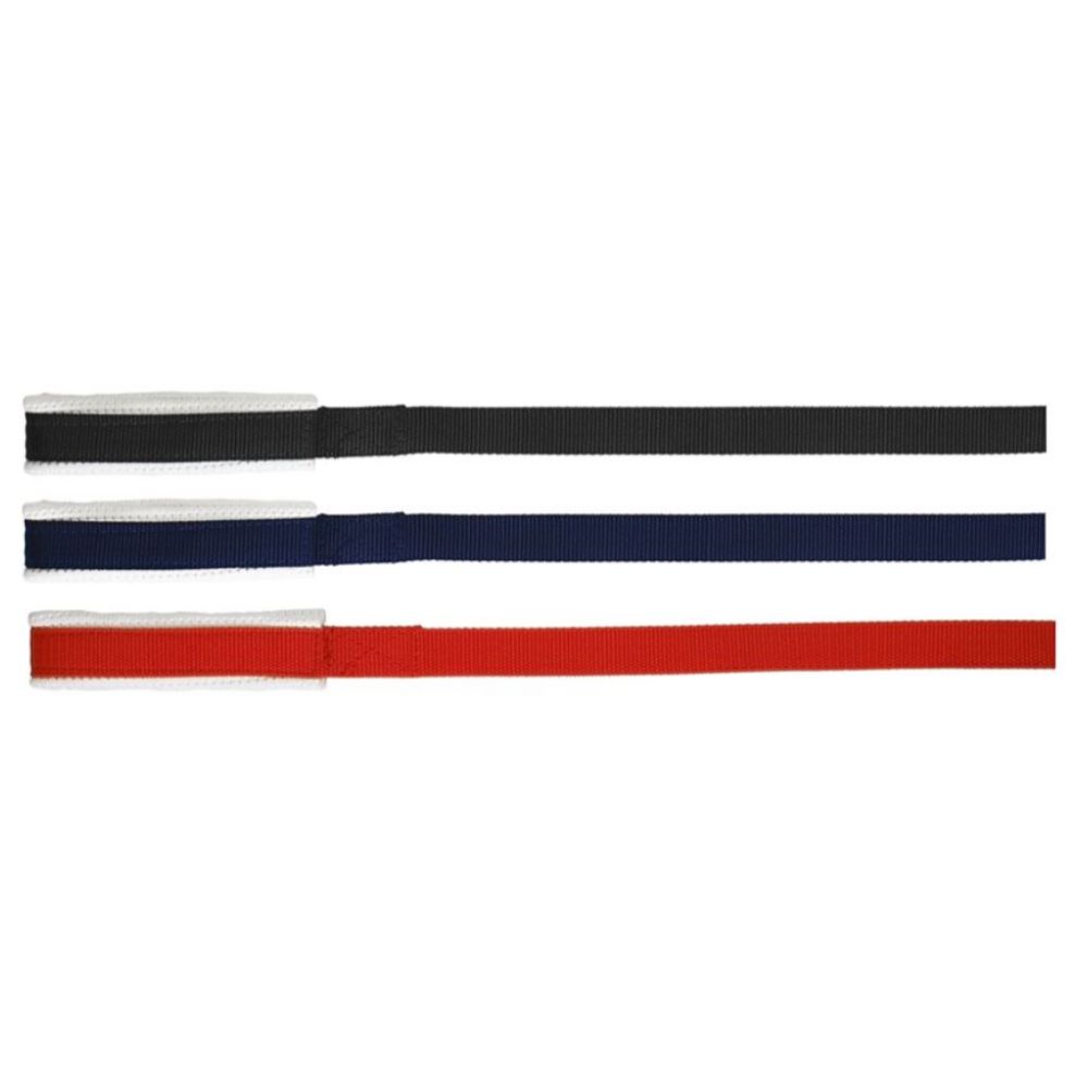arion-blue-tag-lunge-lead-with-padded-loop