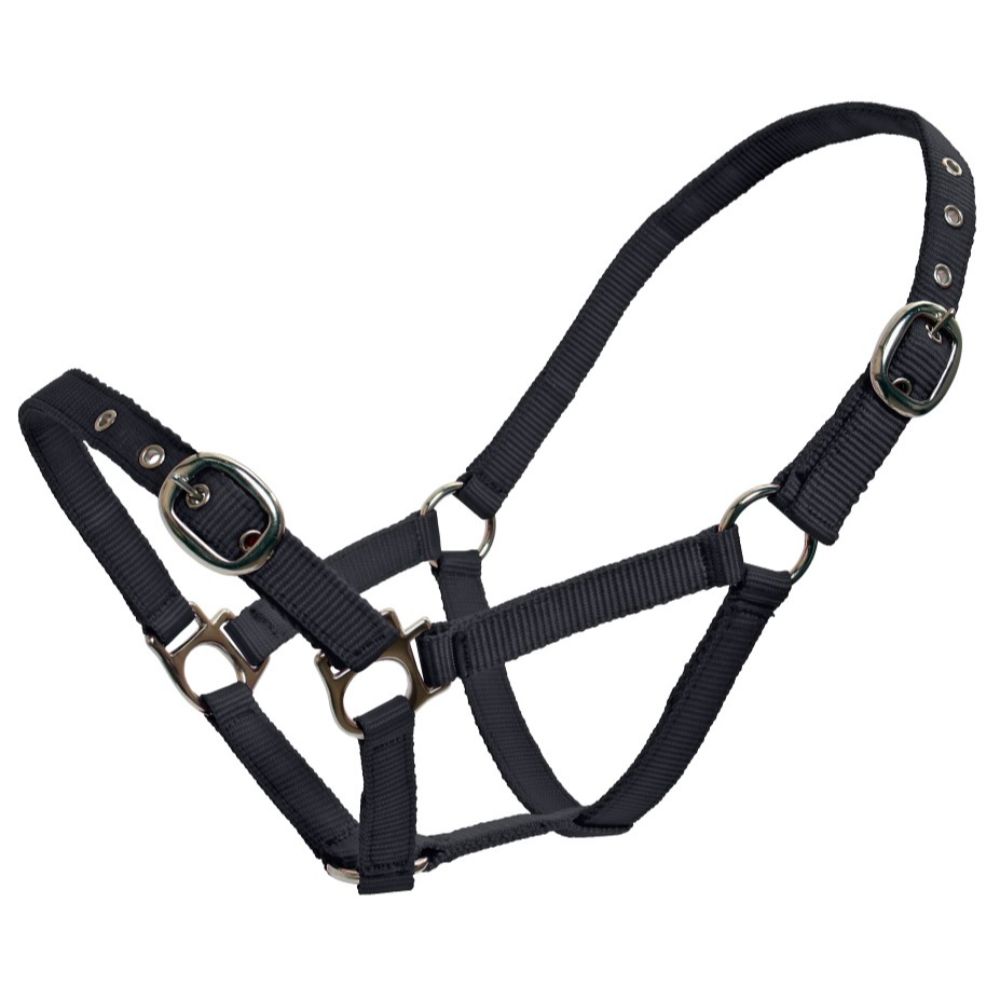Web Halter