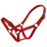Web Halter