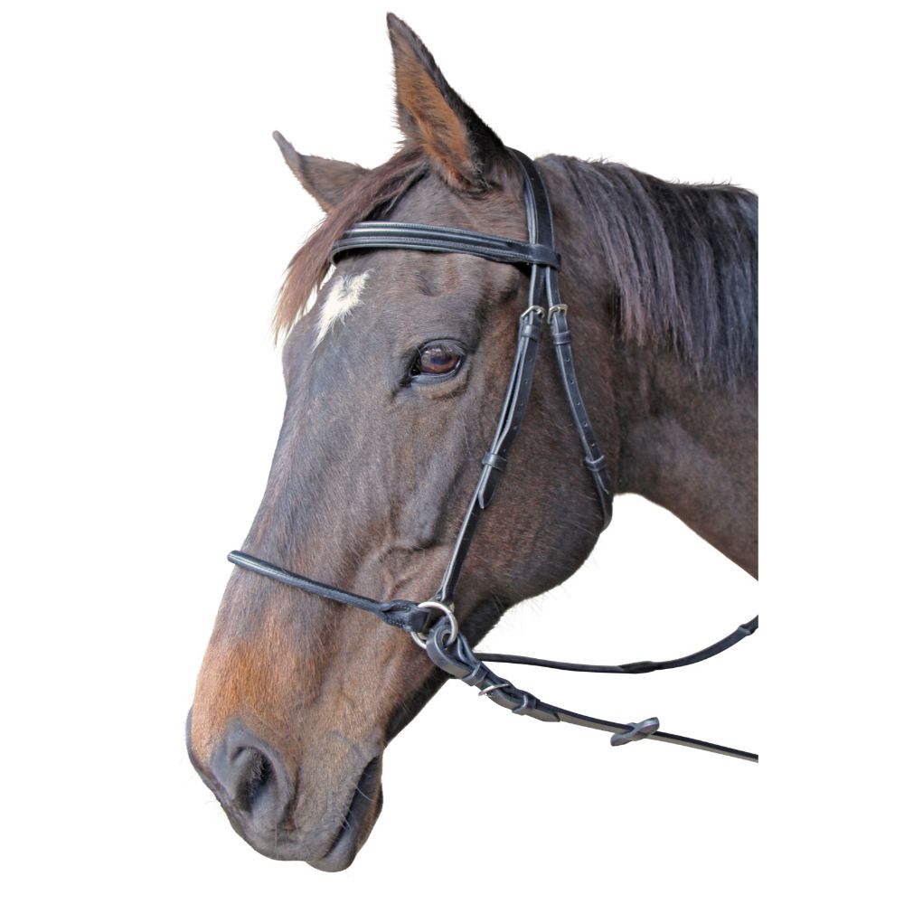 Platinum Thompson Bitless Bridle