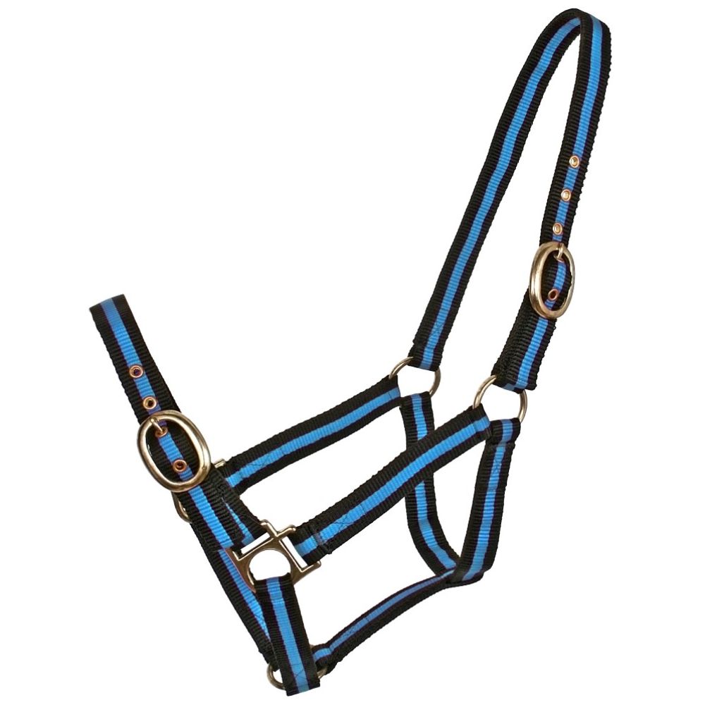 BT Striped Web Halters
