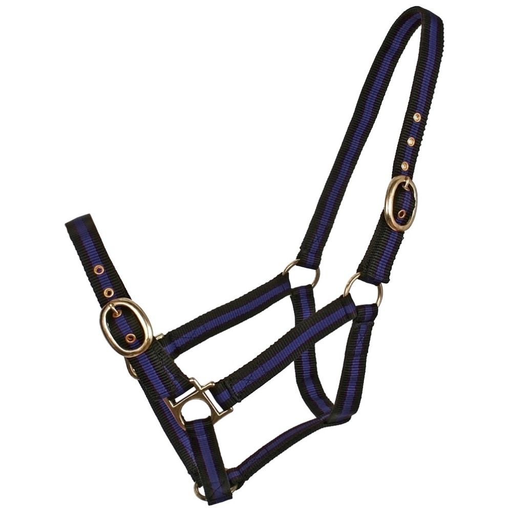 BT Striped Web Halters