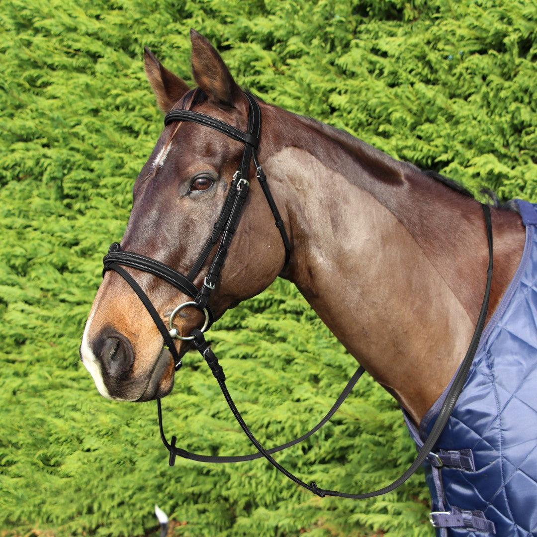 cavallino-anatomic-bridle