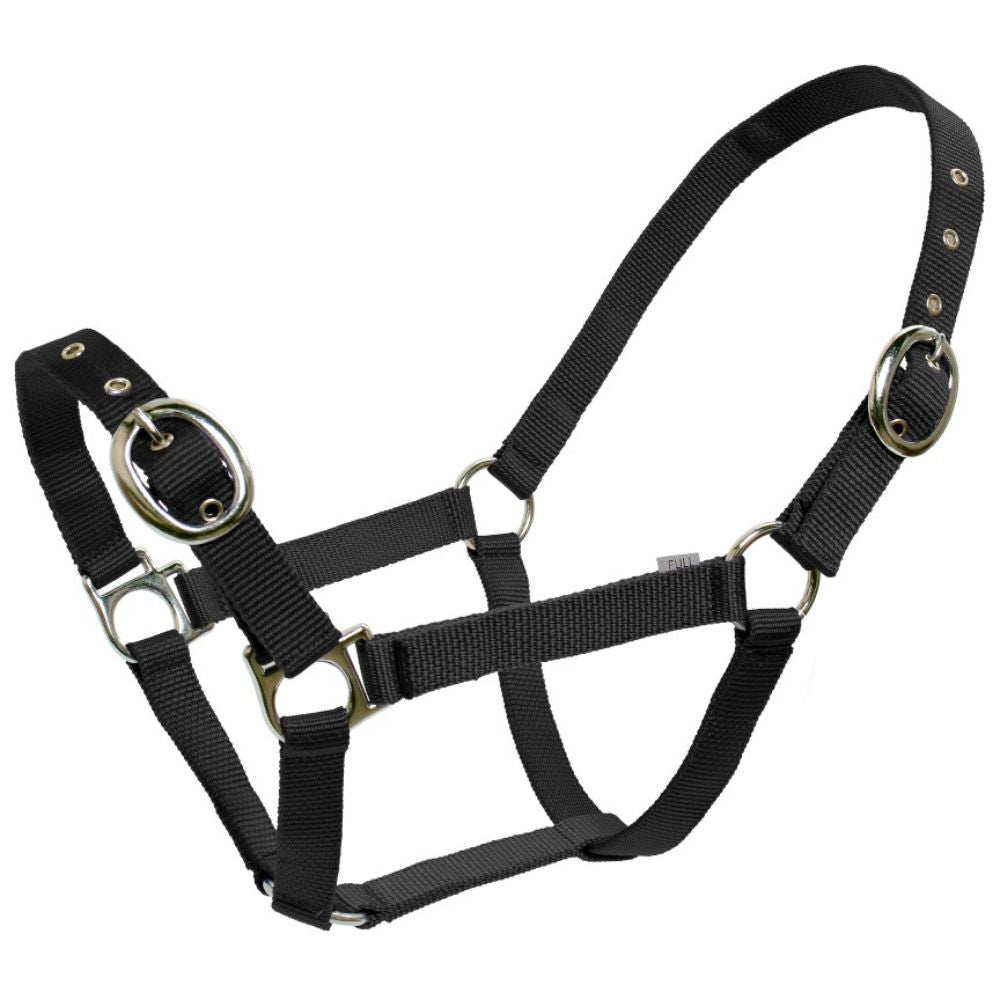 Blue Tag Web Halters