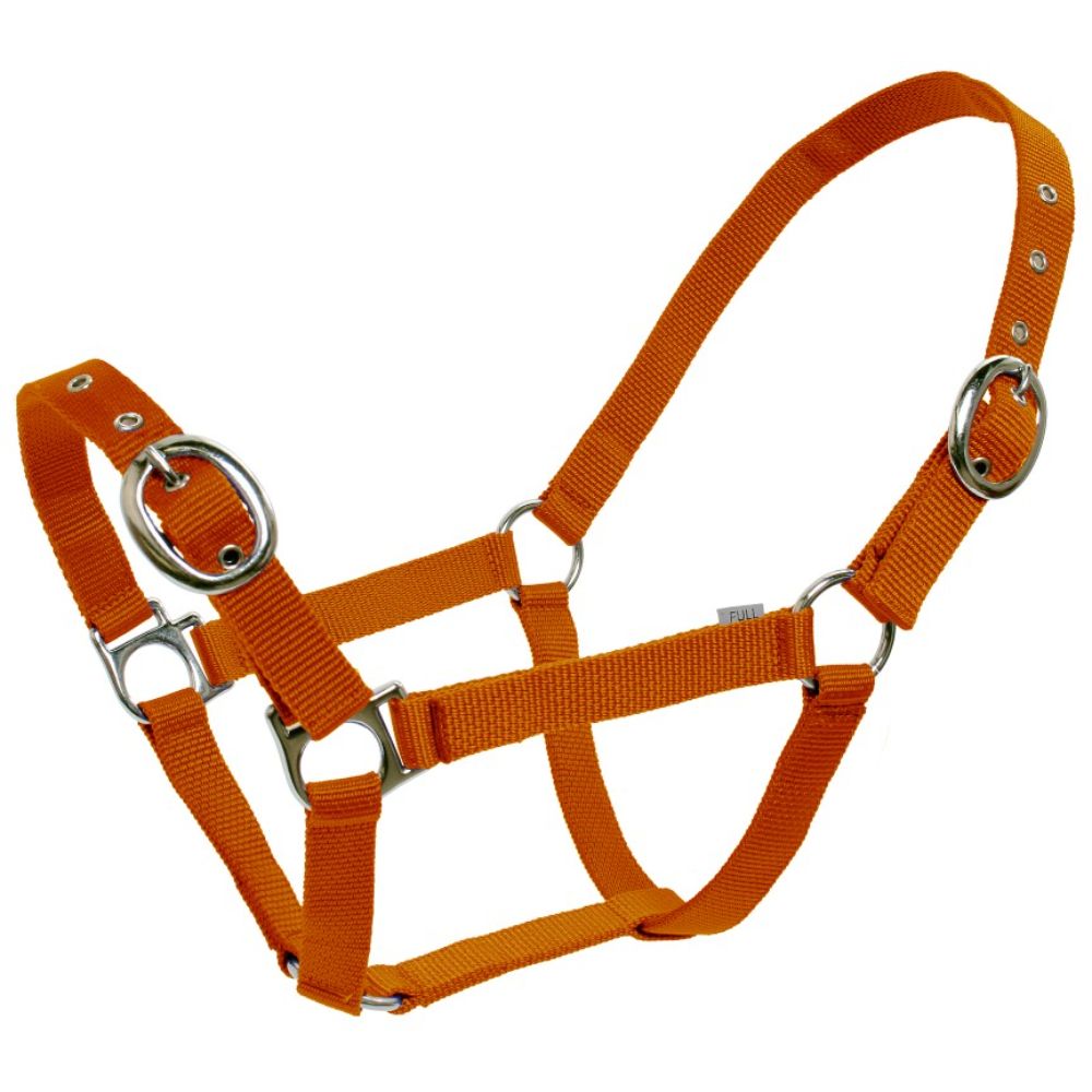 Blue Tag Web Halters