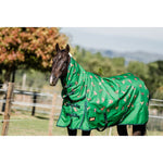 flair-cartoon-horse-combo-cover-100gm