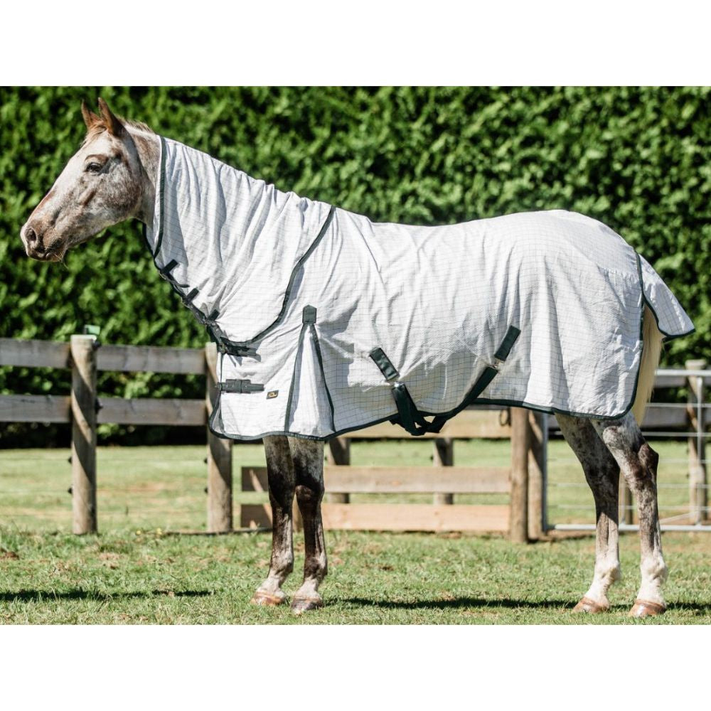 Cavallino-Oxford-Summer-Sheet