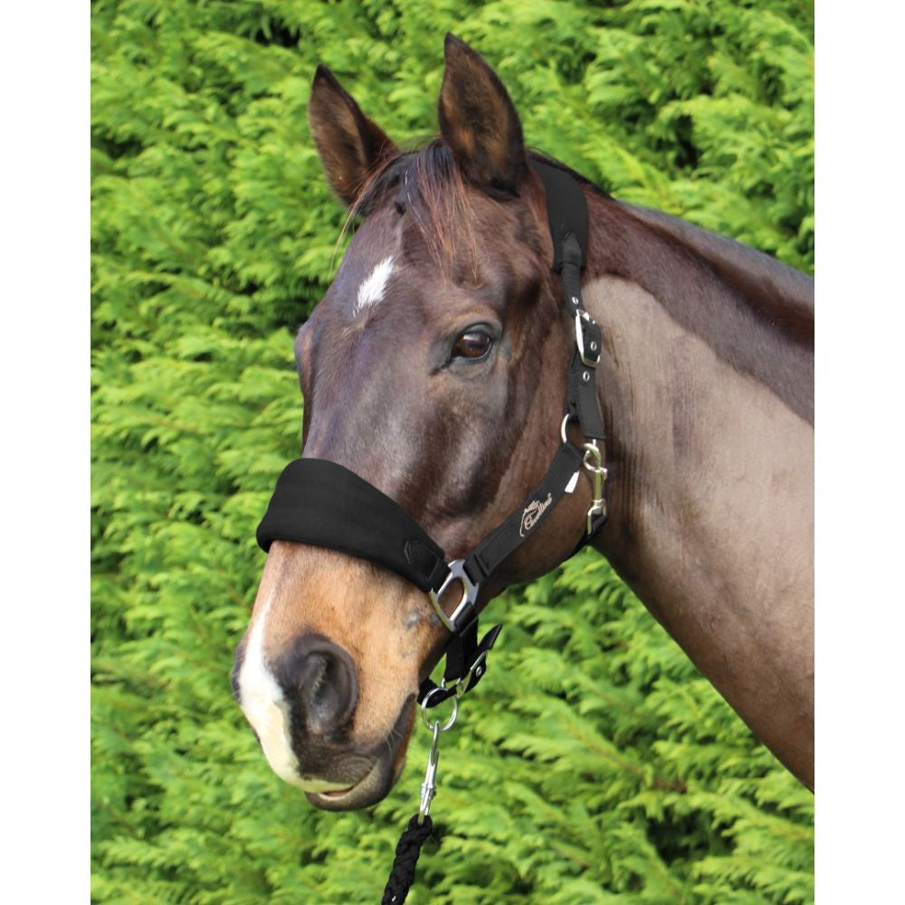 Cavallino Deluxe Padded Halter & Lead Set