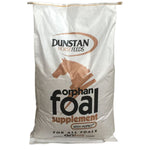Dunstan-Orphan-Foal