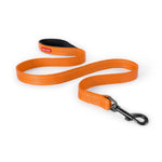 Ezydog-essential-lead-Orange