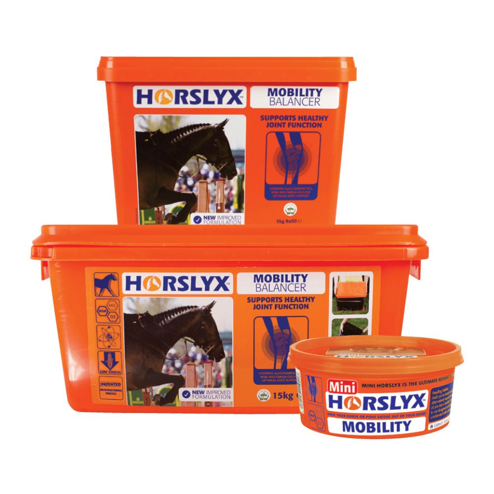 Horslyx-Mobility-Balancer-Lick-Block
