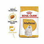 Royal-canin-maltese-adult-dog
