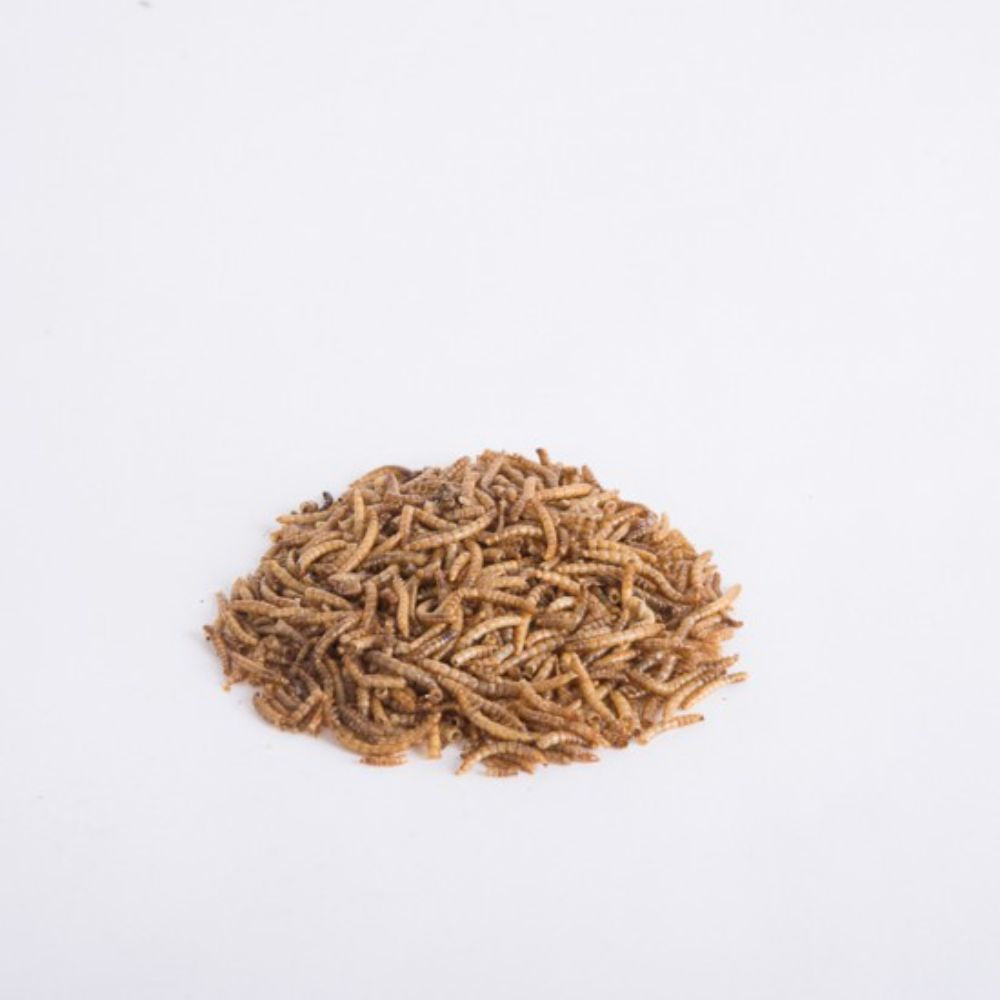Mealworms - 125gms