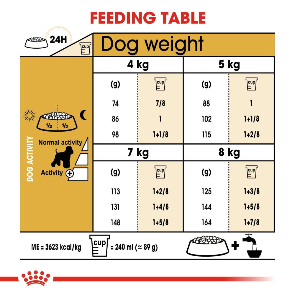 Miniature-Schnauzer-Feeding-Guide