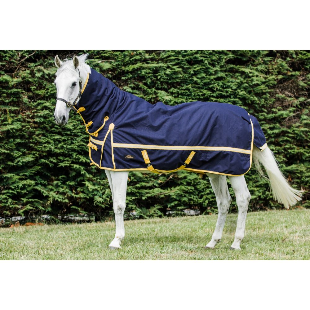 cavallino-northampton-50g-turnout-combo